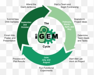 Sitemap - 2020igemorg Igem Competition Emoji,Msp Emojis To Paste