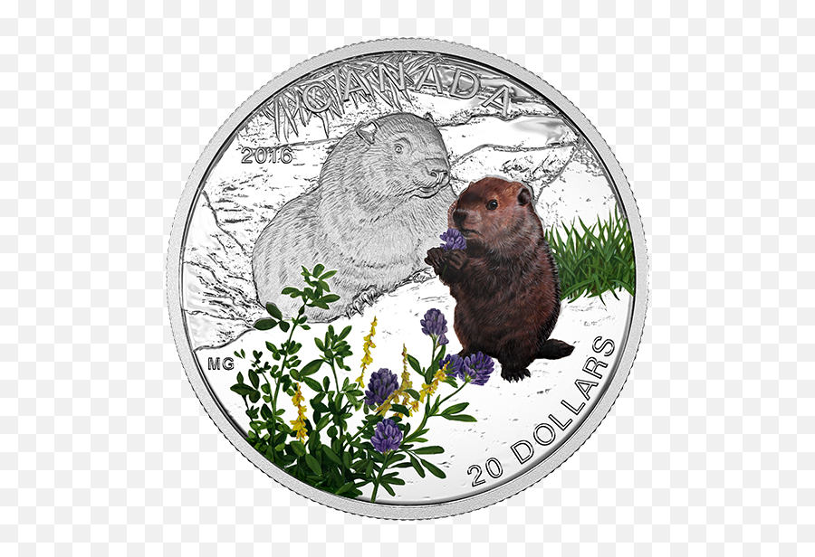 1 Oz - Canadian Coins With Animals Emoji,Ground Hog Woodchuck Emojis