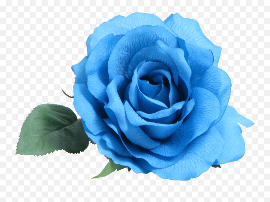 Blue Rose Clip Art - Transparent Blue Rose Emoji,Blue Rose Emoticon