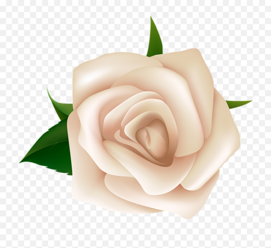 Clipart Flower Vine Painting Flower Painted Rose Wedding - White Rose Clip Art Png Emoji,Hand Emoji Vine
