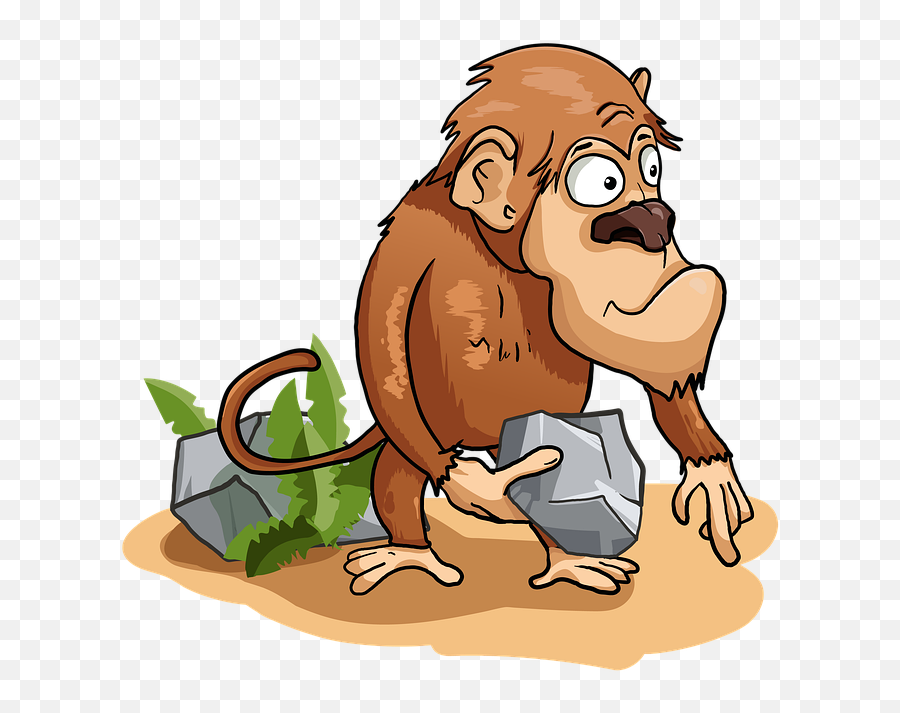 Free Photo Toque Stone Monkey Marmoset - Gambar Monyet Di Hutan Kartun Emoji,Chimp Overcome With Emotion