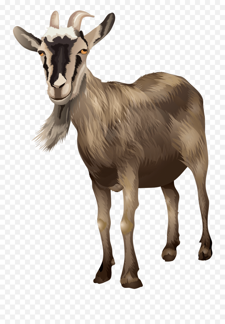 Buy The Douglas Goat Plush Stuffed Animal Gerti 9 Emoji,Animated Baby Goat Emoticon