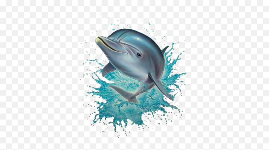 Tubes Dauphins - Ayeyarwady Dolphin Png Emoji,Dolphin Emotions