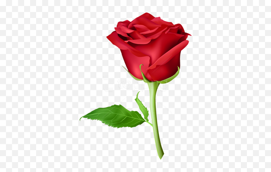 Red Rose Emoji Meaning Whatsapp - Transparent Background Purple Rose Png,Wilted Rose Emoji