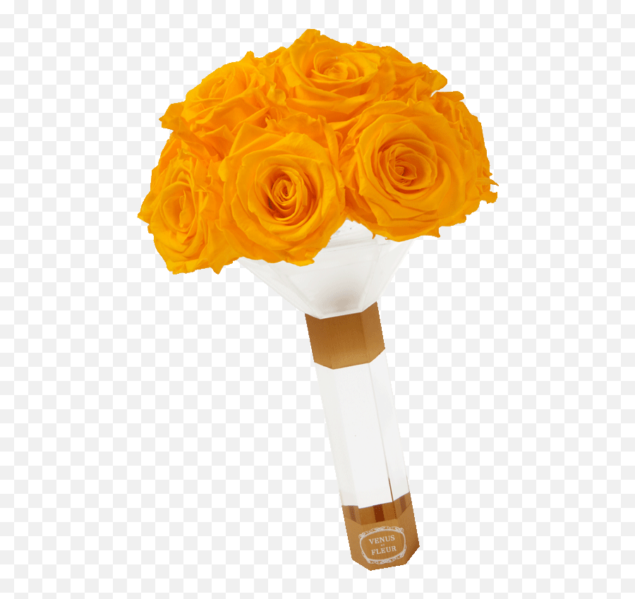 Wedding Rose Sticker By Venus Et Fleur For Ios Android Giphy - Wedding Boquet Gif Transparetn Emoji,Fleur Emoji Wedding Rose Sticker By Venus Et Fleur For Ios Android Giphy - Wedding Boquet Gif Transparetn Emoji,Fleur Emoji