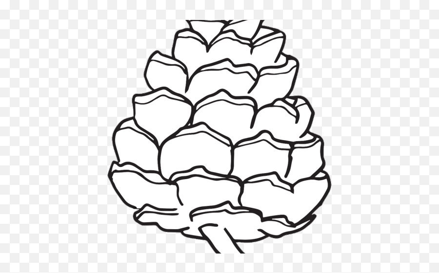 Pinecone Png Download Free Clip Art - Simple Pine Cone Coloring Page Emoji,Pine Cone Emoji