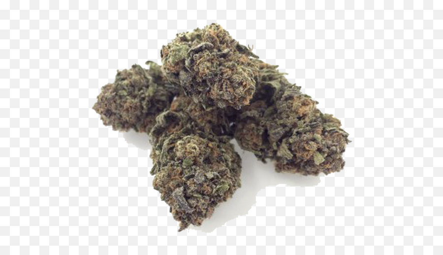 Weed Winnipeg Archives - Qnseedcom Solid Emoji,Pothead Emoji