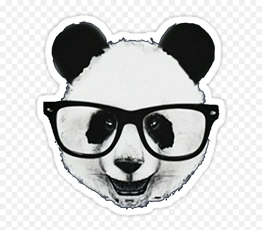 Baby Animals Animales Sticker By Tamii Alexandra - Pandas Png Emoji,Cute Baby Animal Emojis