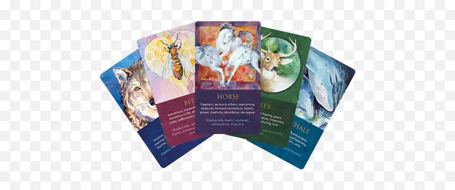 Spirit Animal Awareness Oracle Cards - Spirits Of The Animals Oracle Cards Emoji,Money Powe Respect Emojis