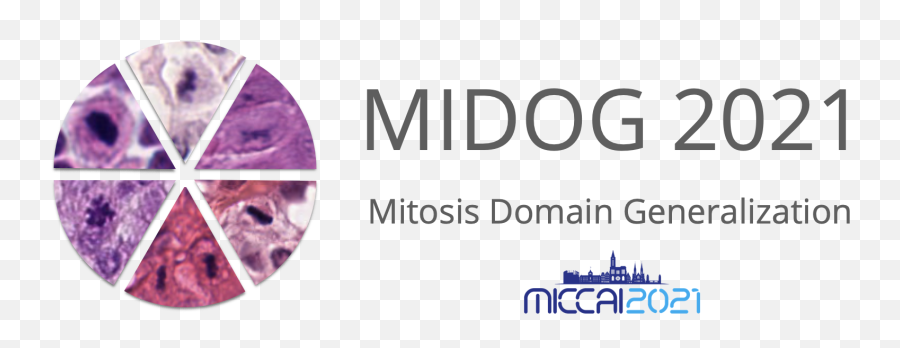 Midog Challenge 2021 - Mitosis Domain Generalization Challenge Emoji,Emoticon Challange