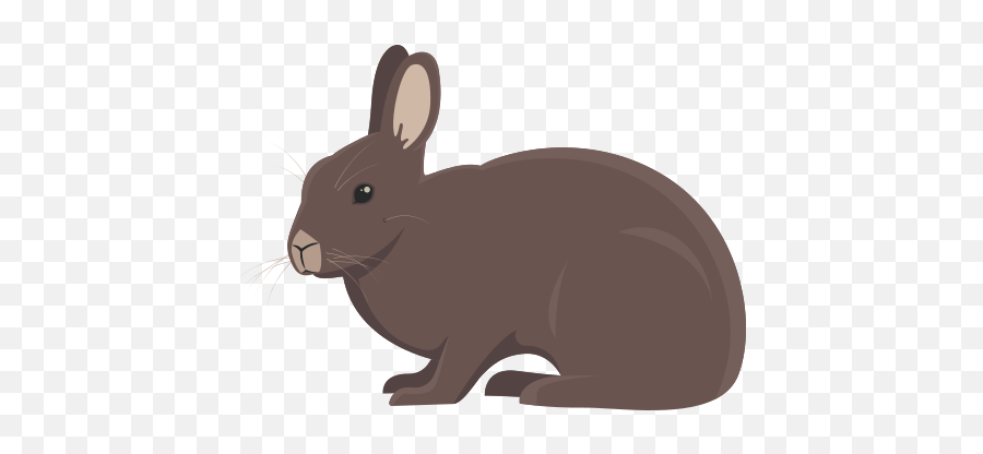 Animal Facts - Rabbits Safe Animal Squad Together We Can Domestic Rabbit Emoji,Rabbit Emotions