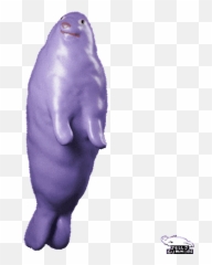 Top Sea Lion Stickers For Android Ios - Purple Dancing Gif Transparent Emoji,Sea Lion Emoji