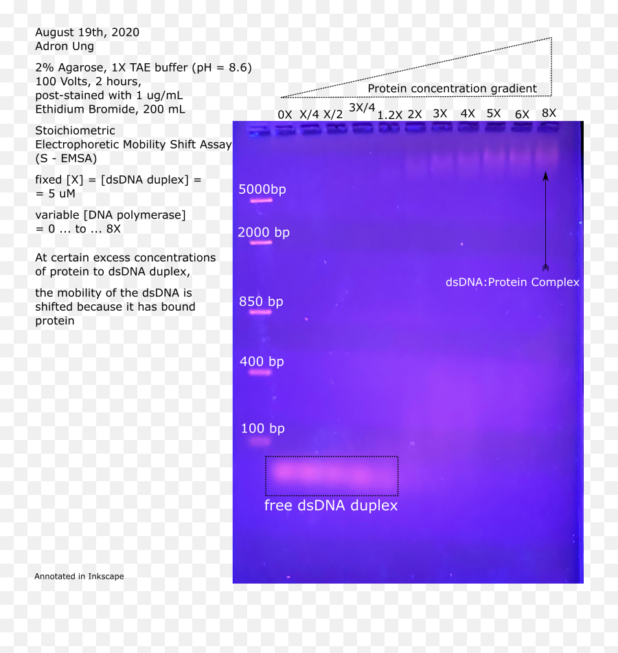 Dissociation Constant - Vertical Emoji,Emoji Level 18answers