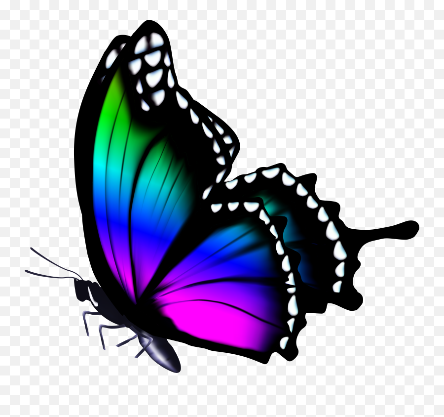 Colorful Butterfly Png Clip Art Image - Butterfly Full Hd Png Emoji,Purplebutterfly Emojis