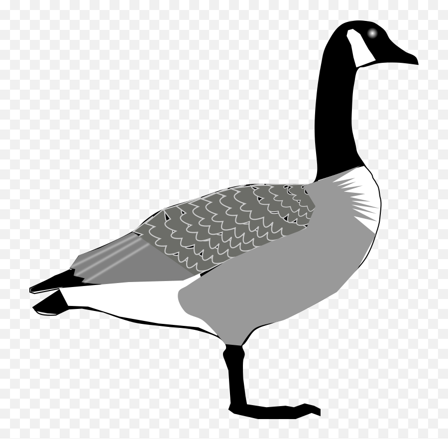 Canada Goose - Openclipart Clipart Canadian Goose Png Emoji,Canadian Goose Emoticon