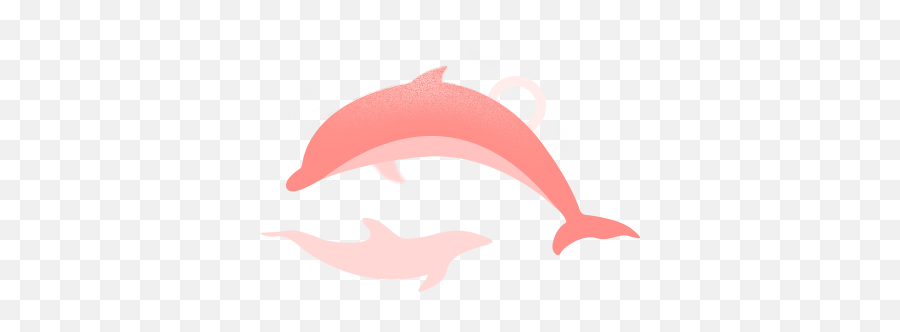 A Kind Of Pink Dolphin In Amazon River - Common Bottlenose Dolphin Emoji,Dolphin Emotions