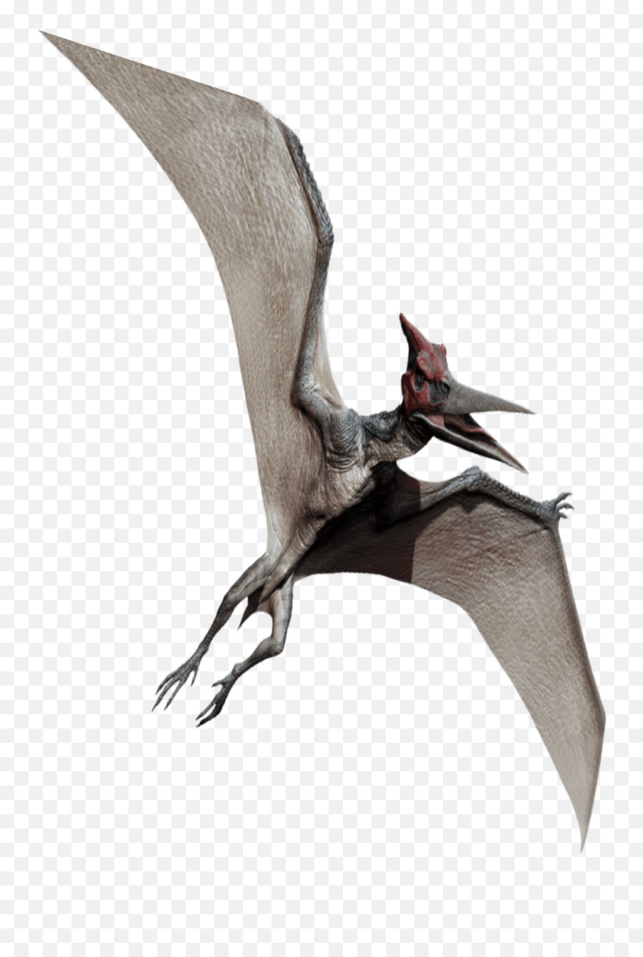 Pterodactyl Dinosaur Sticker - Mexican Bat Emoji,Pterodactyl Emoji