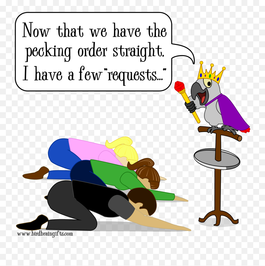 Funny Parrots African Grey Parrot - Fiction Emoji,Cockatiel Emotions