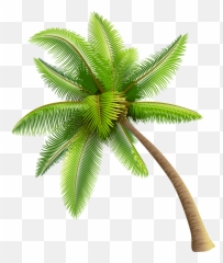 Green Palm Tree Png Clipart - Beach Coconut Tree Png Emoji,Palmtree Emoji