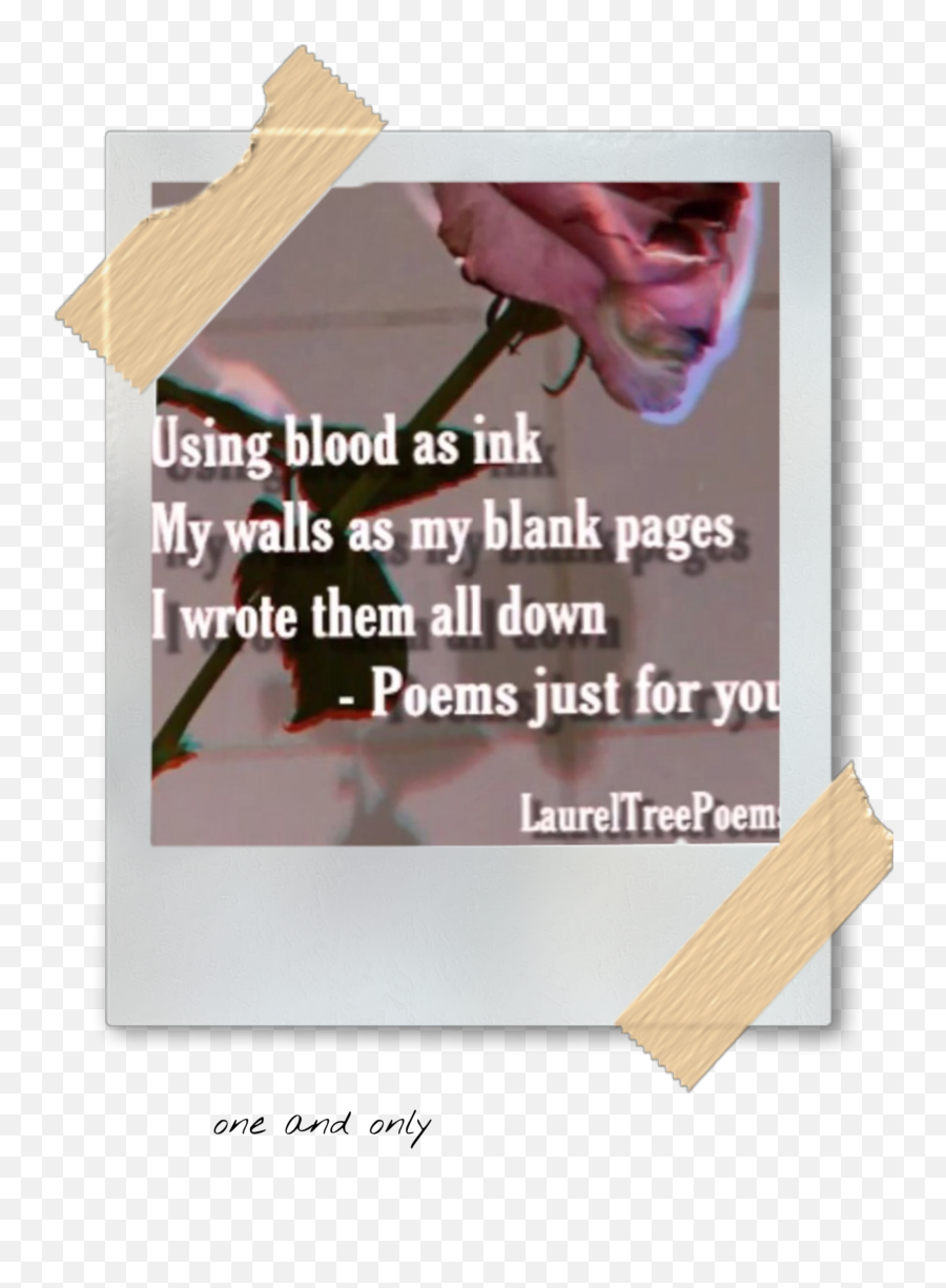 Poem Poetry Poems Sticker By Nerdycat44 - Vintage Wallpapers Emoji,Emoji Poetry