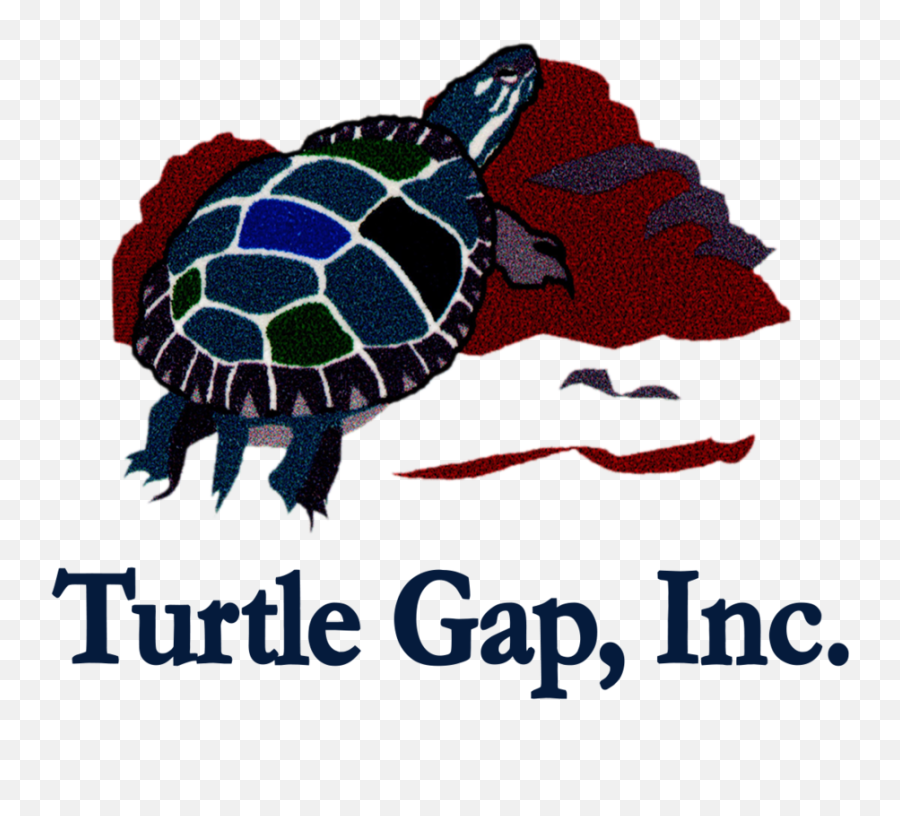 About Turtle Gap Inc - Tortoise Emoji,Turtle Emotions
