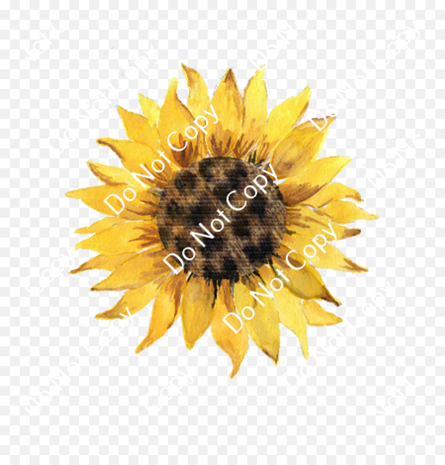 Cds Print N Cut Ready To Apply - Fresh Emoji,Sunflowers Emotion