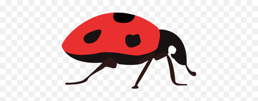 Ladybug Png Redondo Large Collections - Insects Emoji,Mariquita Emoticon