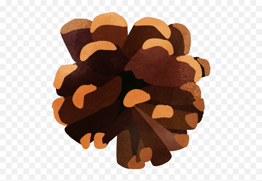 Pinecone - Conifer Cone Emoji,Pine Cone Emoji Png