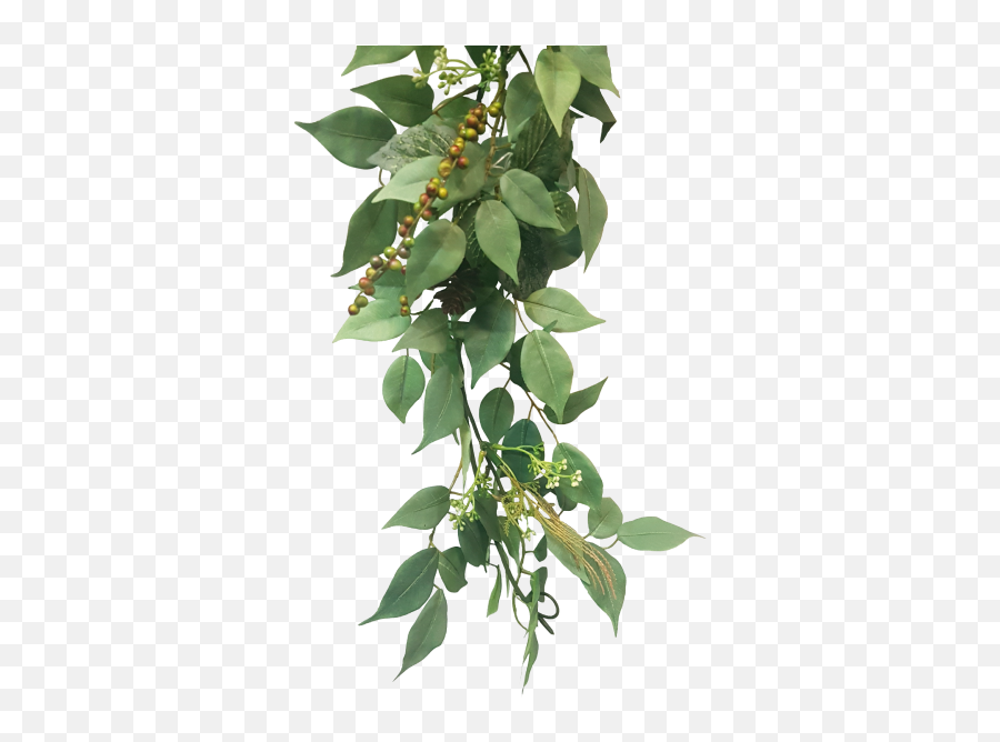 Ficus Fittonia Leaf U0026 Berry Garland 180cm S2656grn - Each Ficus Garland Emoji,Hand Emoji Vine