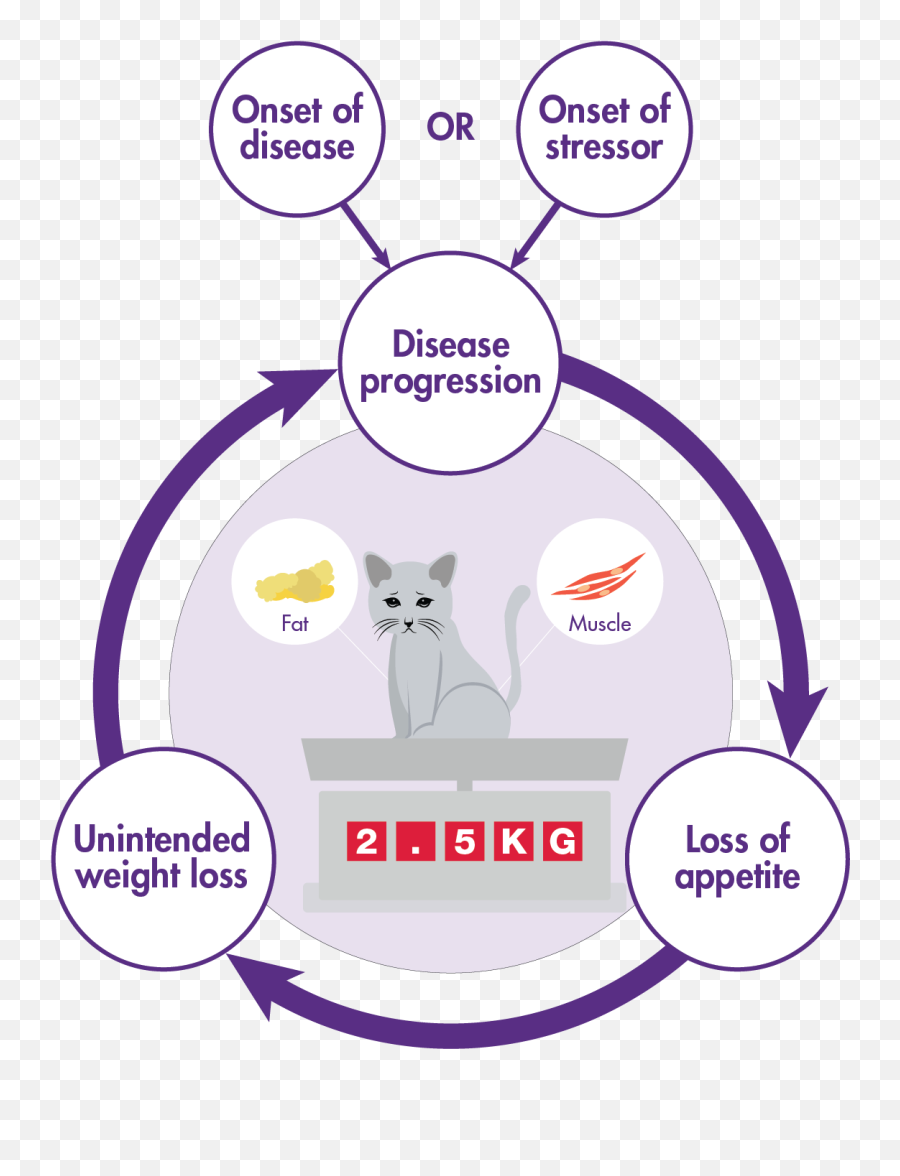 Cat Ears Png - Disease Progression And Lack Of Appetite Language Emoji,Imagenes De Mascaras Emojis