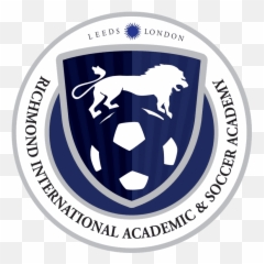Riasa Football Academy Is Based In Leeds Uk Soccer Academy Emoji,Soccer Brazil Fan Emotion