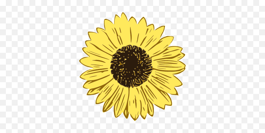1611583420111 - Fresh Emoji,Sunflowers Emotion