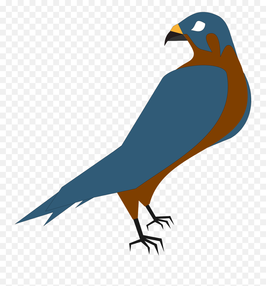 Falcon Bird As A Clipart Free Image - Falcon Clipart Emoji,Emotions Falcon