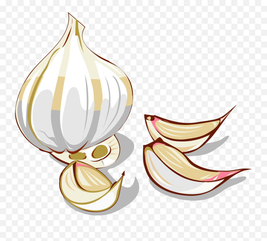 Garlic Clipart Allium Sativum Garlic - Garlic Clipart Emoji,Garlic Emoji