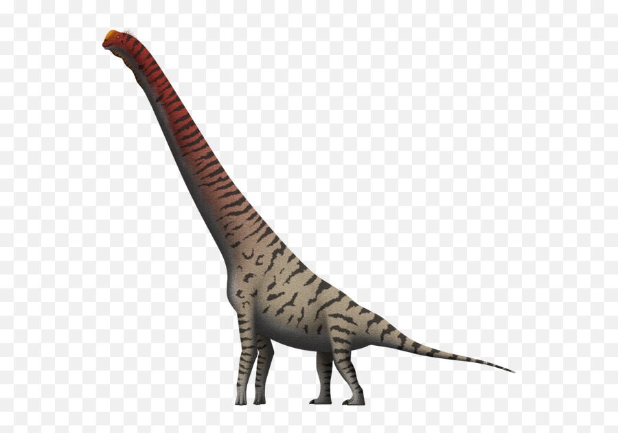 A Lizard Can Lose Its Tail Does - Camarasaurus Giraffe Emoji,Tegu Monitor Do They Have Emotions