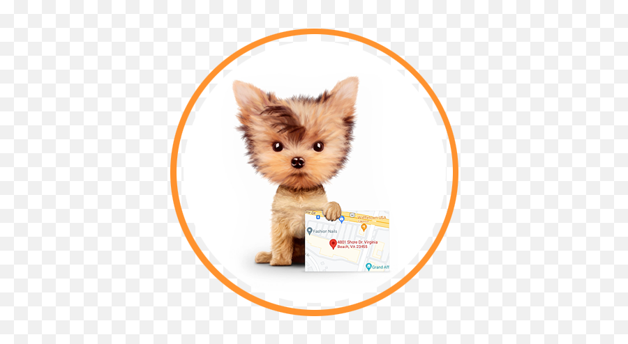 Child Daycare Virginia Beach - Training Funny Emoji,Puppy Yorkie Emoticon