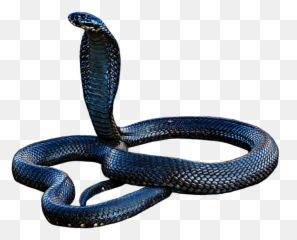 Cobra Png Hd U2013 Png Lux Emoji,Dnake Emoji