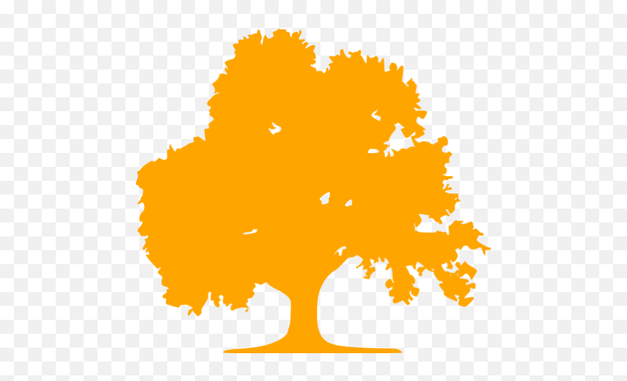 Orange Tree 49 Icon - Orange Tree Icon Png Emoji,Facebook Deciduous Tree Emoticon