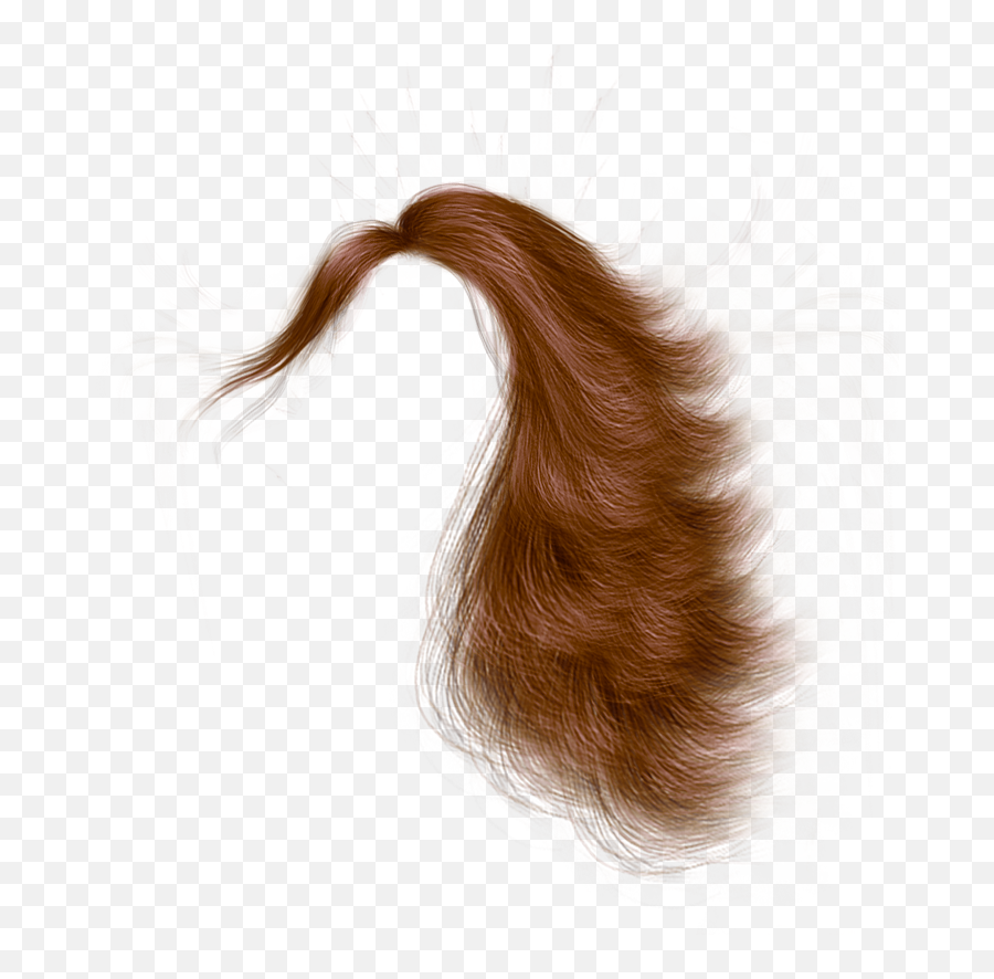 Transparent Drag Queen Wig Png - Hair Design Emoji,Fetty Wap Emoji Shirt