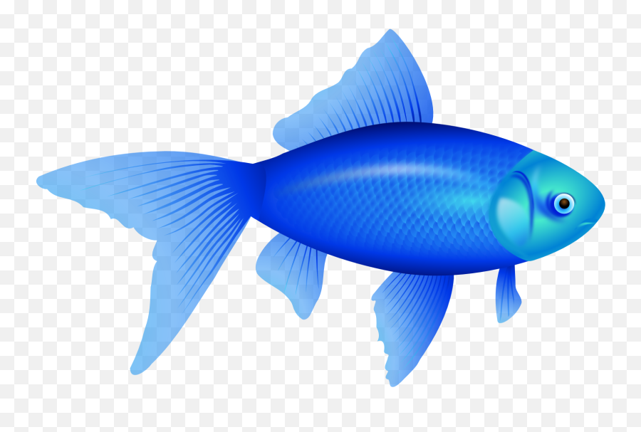 Download Hd Blue Fish Png - Custom Blue Fish Shower Curtain Blue Fish Png Emoji,Fish Emoji
