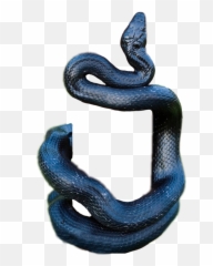 Snake Black Blackmamaba Mamba Sticker - Cobra Picsart Snake Png Emoji,Black Mamba Emoji