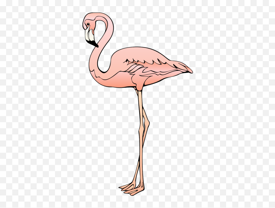 Flamingo Free To Use Cliparts 2 - Png Clip Art Flamingo Emoji,Flamingo Emoji