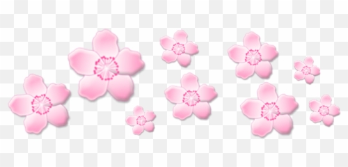 Emoji Flower Crown Flowercrown Sticker - Flower Effect Picsart,Pink Flower Emoji