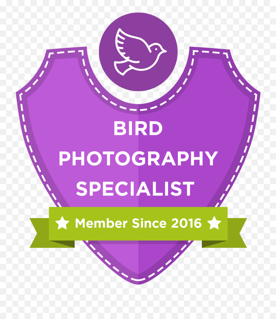 Bird Photography Course Information Dejan - Test Photography Simple Logo Design Emoji,Camera Techniques And Emotion