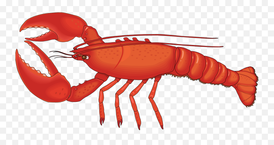 Lobster Clip Art - Images Illustrations Photos Clipart Lobster Png Emoji,Dancing Lobster Emoticon