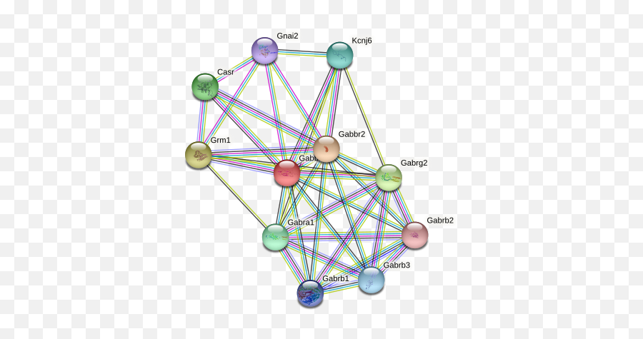 Gabbr1 Protein Mouse - String Interaction Network Emoji,Women Process Emotion Temporal Lobes