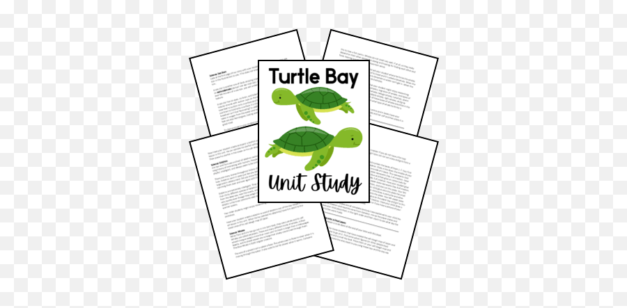 Turtle Lapbook U2013 Homeschool Share Emoji,Cold Turtle Emoticon