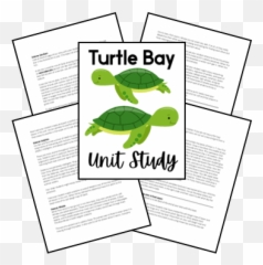 Turtle Lapbook U2013 Homeschool Share Emoji,Cold Turtle Emoticon