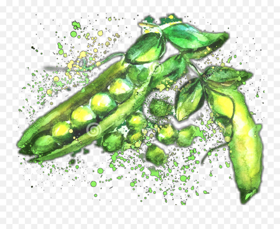 Green Beans Sticker Challenge On Picsart - Snap Pea Emoji,Green Bean Emoji