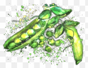 Green Beans Sticker Challenge On Picsart - Snap Pea Emoji,Green Bean Emoji